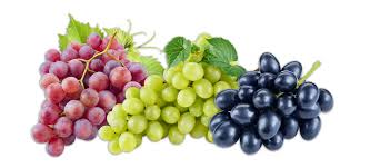 This image has an empty alt attribute; its file name is grapes.jpg